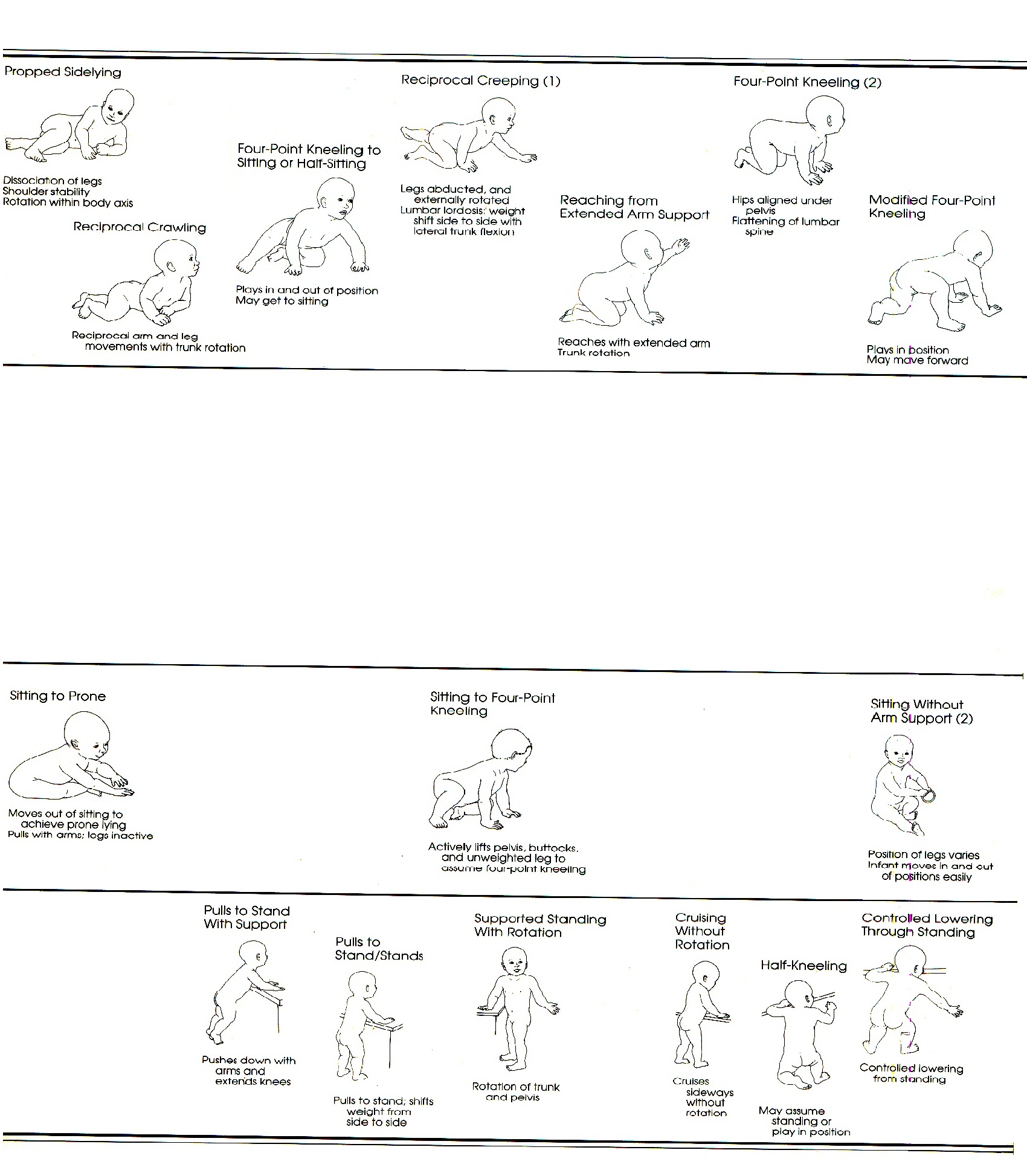 Alberta Infant Motor Scale Scoring Scale Pdf